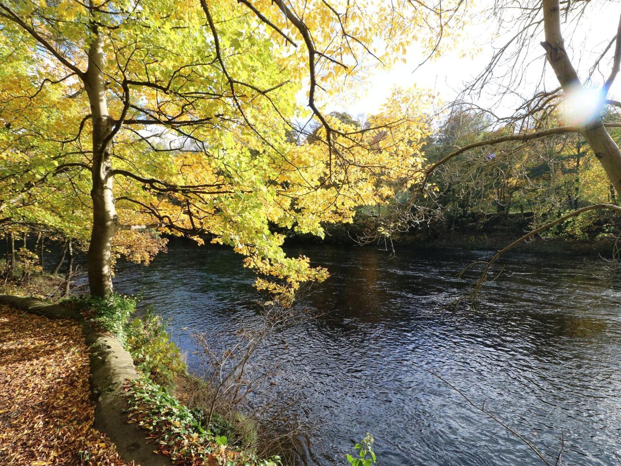 King'S Cottage Crakehall المظهر الخارجي الصورة